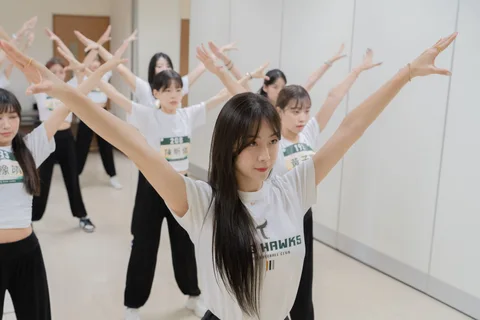 活動選輯，第 6 張